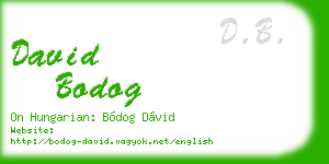 david bodog business card